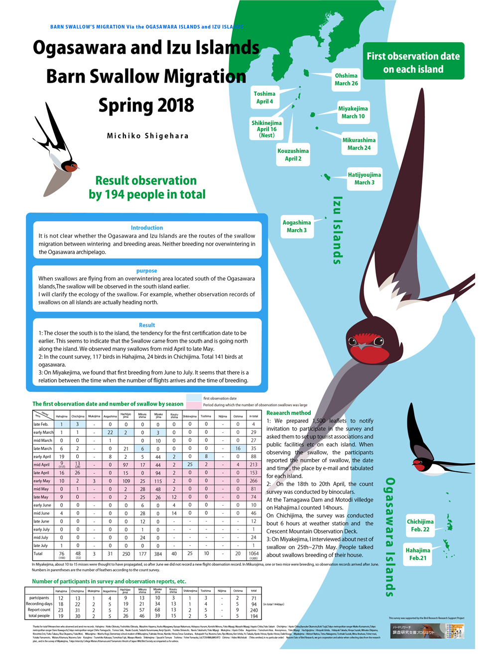 Barn swallow Migration
            research