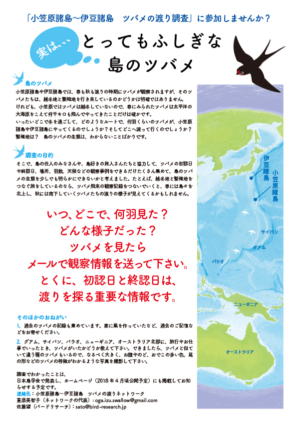 Barn swalloe
        Migration research flyer