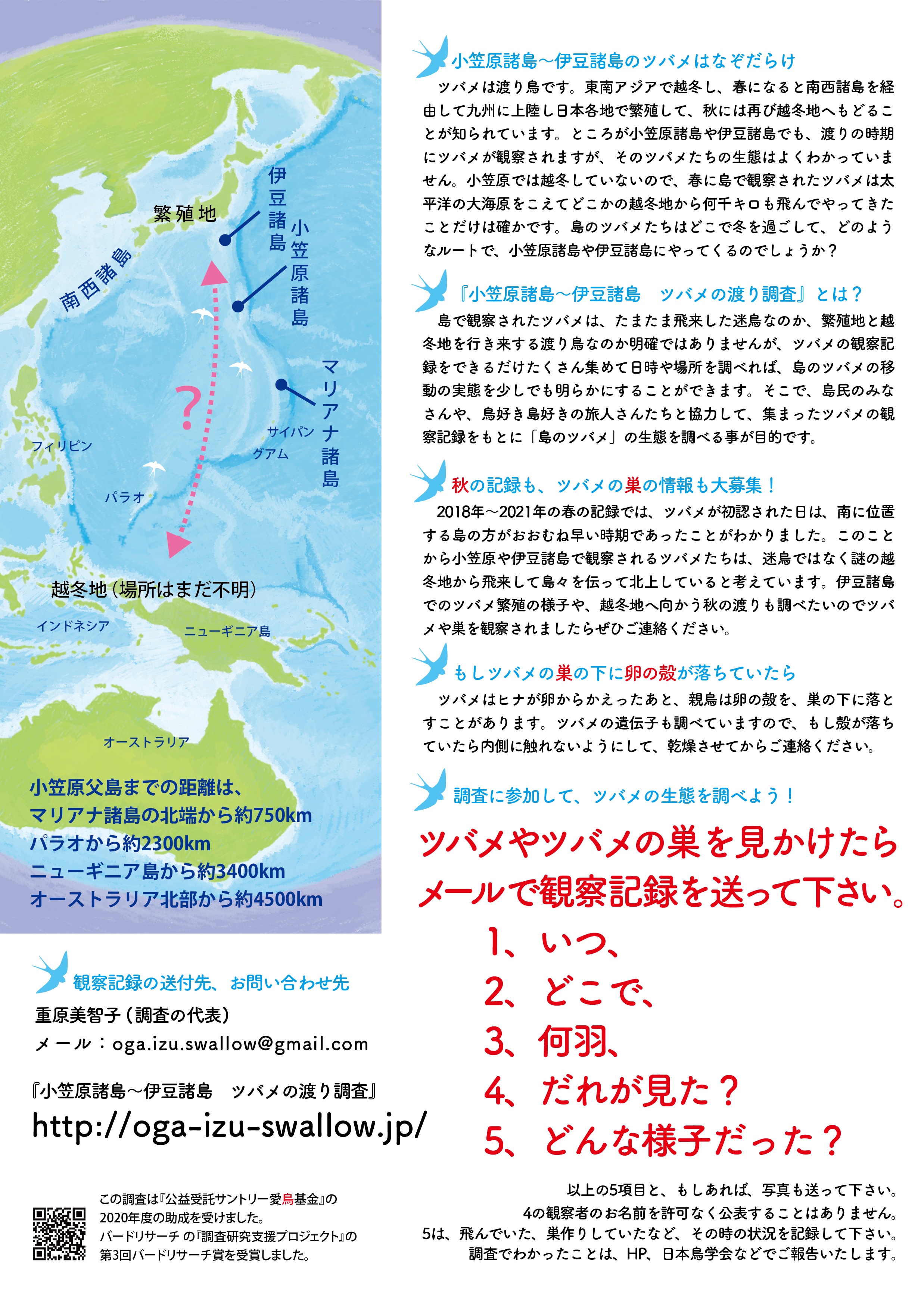 2025年ビジュアルの裏