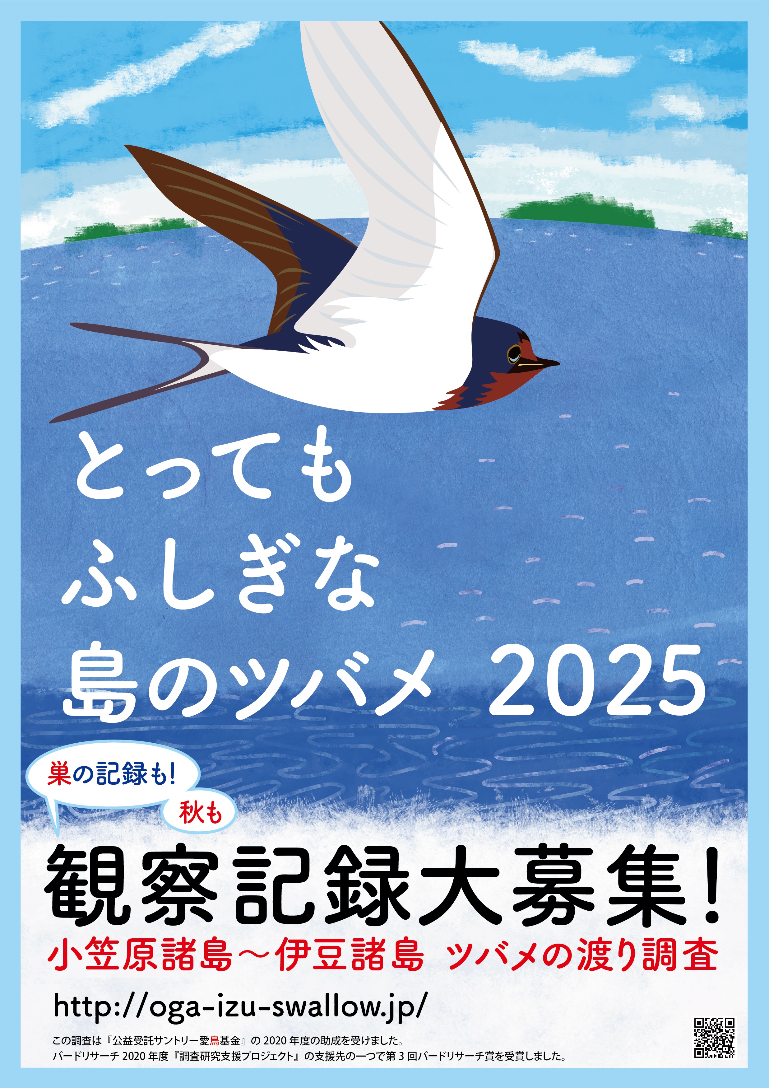 調査のビジュアル2025年度